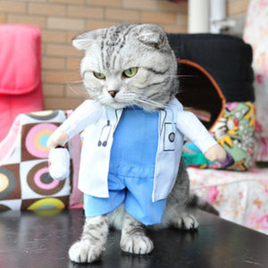 Funny Cat Clothes Pirate Suit Clothes For Cat Costume